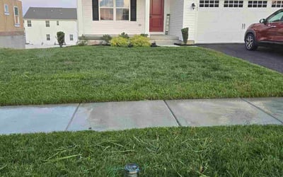 Photo of Marlina W.'s yard after getting lawn care in Citrus Heights, CA
