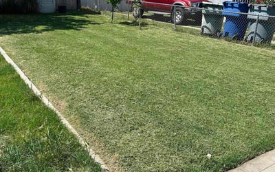 Photo of Cathie S.'s yard after getting lawn care in Kingsburg, CA