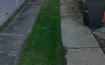 Photo of Aremo A.'s yard after getting lawn care in South Ozone Park, NY