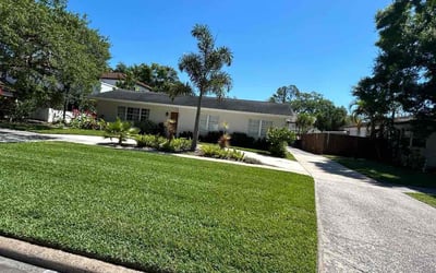 Photo of Devin N.'s yard after getting lawn care in Gulfport, FL