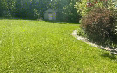 Photo of James P.'s yard after getting lawn care in Shawnee, KS