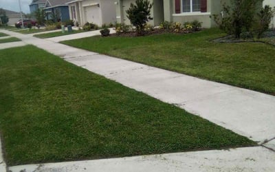 Photo of Elizabeth A.'s yard after getting lawn care in Columbia, MD