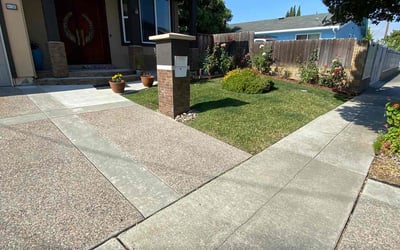 Photo of Richard D.'s yard after getting lawn care in Fremont, CA