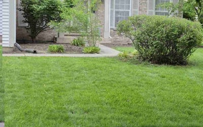 Photo of Michael M.'s yard after getting lawn care in Port Huron, MI