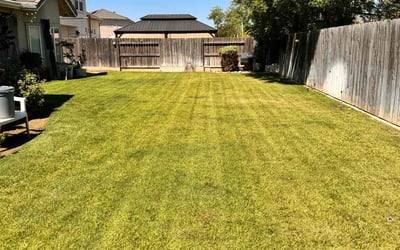 Photo of Jennifer W.'s yard after getting lawn care in Fresno, CA