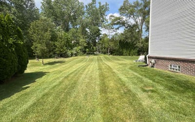 Photo of Queen U.'s yard after getting lawn care in Sun City, AZ