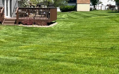Photo of Kishore D.'s yard after getting lawn care in Strongsville, OH