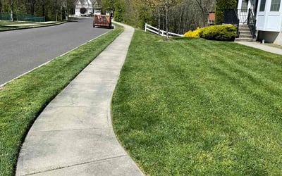 Photo of Tyre C.'s yard after getting lawn care in Mount Holly, NJ
