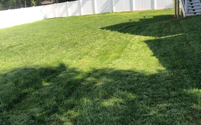 Photo of Patricia J.'s yard after getting lawn care in Elkridge, MD