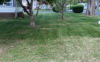 Photo of Doreen R.'s yard after getting lawn care in Lewes, DE