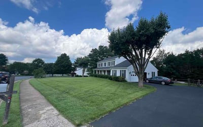 Photo of Vinh T.'s yard after getting lawn care in Kansas City, MO