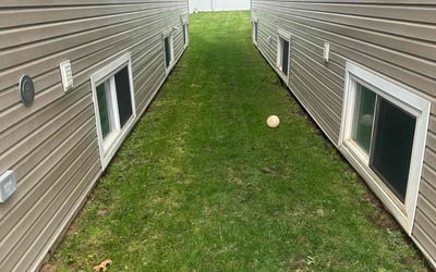 Photo of Allison D.'s yard after getting lawn care in Corona, NY