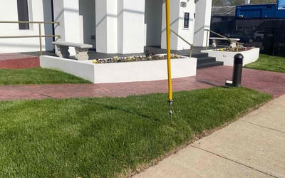 Photo of William B.'s yard after getting lawn care in Eden, NC