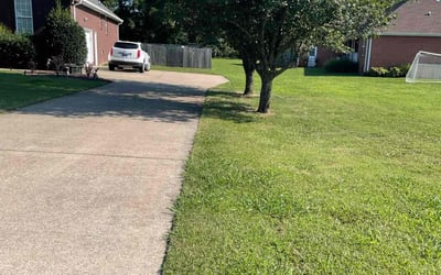 Photo of Anthony N.'s yard after getting lawn care in Lebanon, TN
