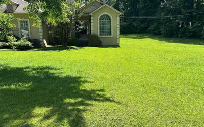 Photo of Daniel R.'s yard after getting lawn care in Lexington, SC