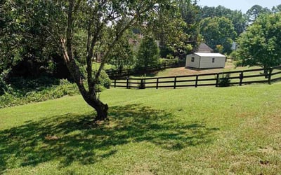 Photo of Helen H.'s yard after getting lawn care in West Columbia, SC