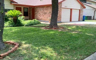 Photo of Jessy T.'s yard after getting lawn care in Von Ormy, TX