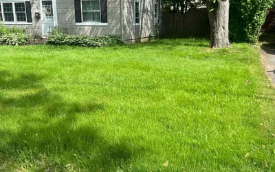 Photo of Amanda B.'s yard after getting lawn care in New Britain, CT