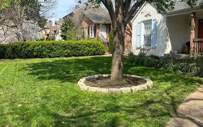 Photo of Isabel R.'s yard after getting lawn care in Lafayette, TN