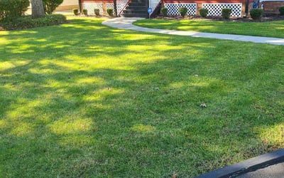 Photo of Jaquanna H.'s yard after getting lawn care in Richmond, VA