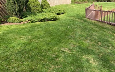 Photo of Brittany R.'s yard after getting lawn care in Langhorne, PA