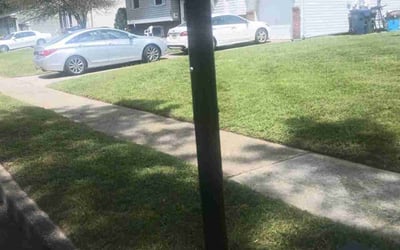 Photo of Aubrey G.'s yard after getting lawn care in Clementon, NJ