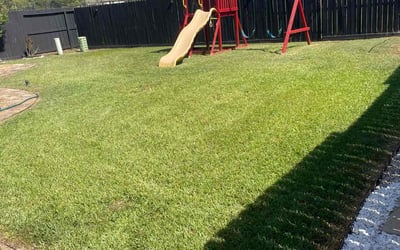 Photo of Michael W.'s yard after getting lawn care in Humble, TX