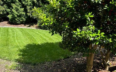 Photo of Frances A.'s yard after getting lawn care in Fort Washington, MD
