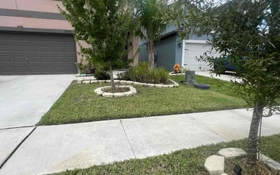 Photo of Steve P.'s yard after getting lawn care in Liberty, SC