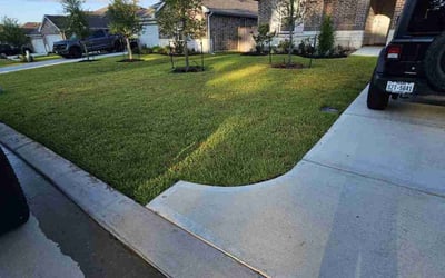 Photo of Crystal M.'s yard after getting lawn care in Magnolia, TX