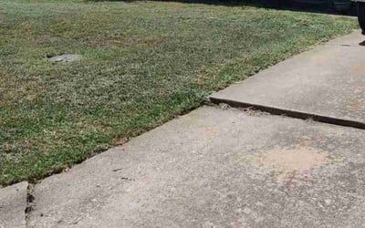 Photo of Harry F.'s yard after getting lawn care in San Pablo, CA