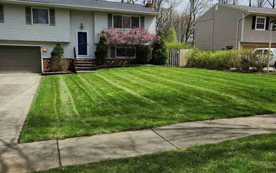 Photo of Henry G.'s yard after getting lawn care in Brunswick, OH