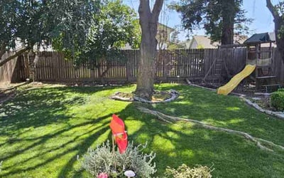 Photo of Christina R.'s yard after getting lawn care in Lodi, CA