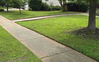 Photo of Romaine L.'s yard after getting lawn care in Five Forks, SC