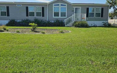 Photo of Daphne C.'s yard after getting lawn care in Lynn, MA
