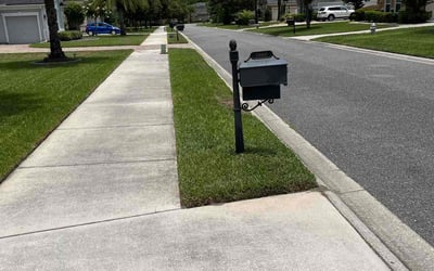 Photo of Noel A.'s yard after getting lawn care in Santa Maria, CA