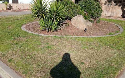 Photo of Christian D.'s yard after getting lawn care in Ada, MI