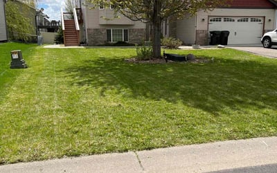 Photo of Amanda S.'s yard after getting lawn care in Crystal, MN