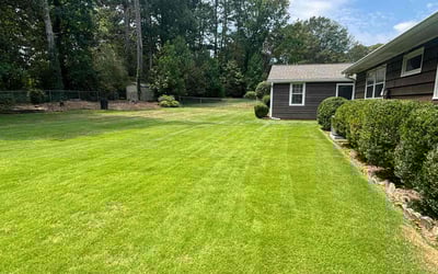 Photo of Sacoyia W.'s yard after getting lawn care in Stone Mountain, GA