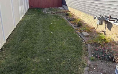 Photo of Diane M.'s yard after getting lawn care in King Of Prussia, PA