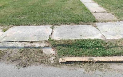 Photo of LaTasha C.'s yard after getting lawn care in Laurel, DE