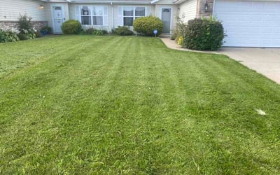 Photo of Antonio C.'s yard after getting lawn care in Towson, MD