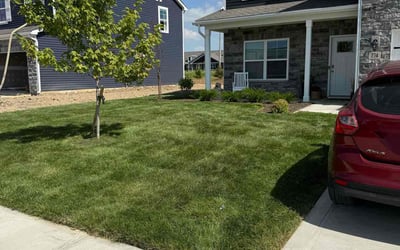 Photo of Ike S.'s yard after getting lawn care in Charlestown, IN
