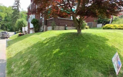 Photo of Jesse G.'s yard after getting lawn care in Rockwall, TX