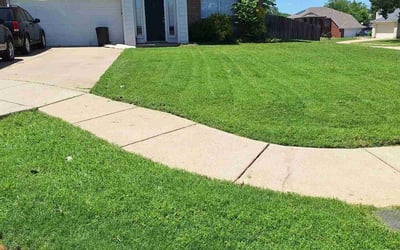 Photo of Damon R.'s yard after getting lawn care in San Luis Obispo, CA