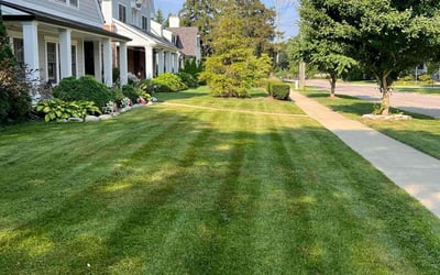 Photo of Tammy Y.'s yard after getting lawn care in Benton Harbor, MI