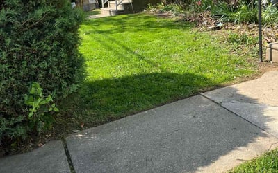 Photo of Judith H.'s yard after getting lawn care in Lansdowne, PA