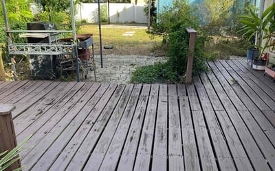 Photo of Linda C.'s yard after getting lawn care in Newport, KY