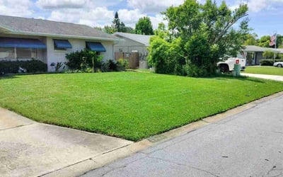 Photo of Lara D.'s yard after getting lawn care in Westport, CT