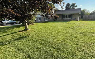 Photo of Kathy B.'s yard after getting tree care in San Angelo, TX